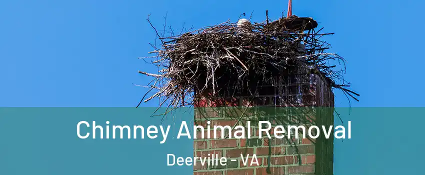 Chimney Animal Removal Deerville - VA