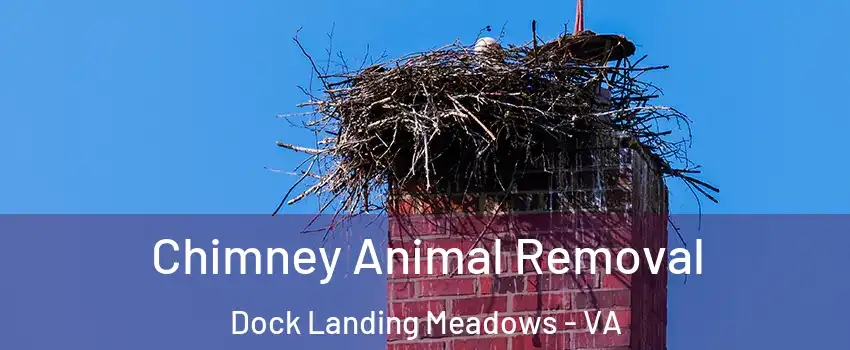 Chimney Animal Removal Dock Landing Meadows - VA
