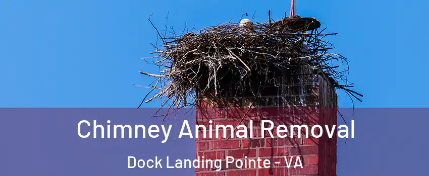 Chimney Animal Removal Dock Landing Pointe - VA
