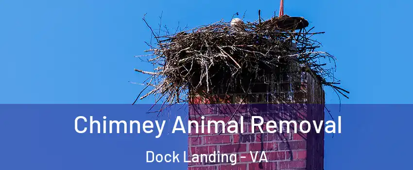 Chimney Animal Removal Dock Landing - VA