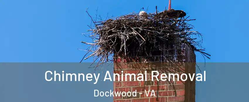 Chimney Animal Removal Dockwood - VA