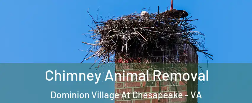Chimney Animal Removal Dominion Village At Chesapeake - VA