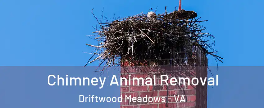 Chimney Animal Removal Driftwood Meadows - VA
