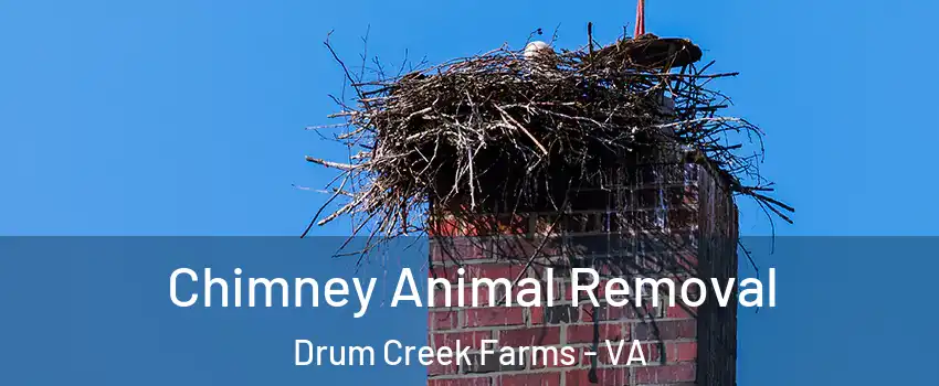 Chimney Animal Removal Drum Creek Farms - VA