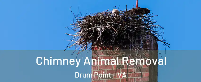 Chimney Animal Removal Drum Point - VA