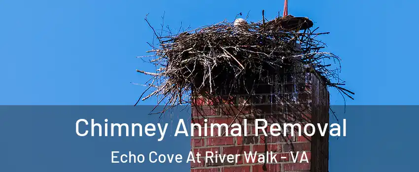 Chimney Animal Removal Echo Cove At River Walk - VA