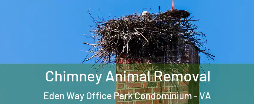 Chimney Animal Removal Eden Way Office Park Condominium - VA