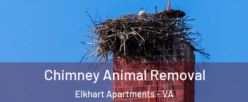Chimney Animal Removal Elkhart Apartments - VA