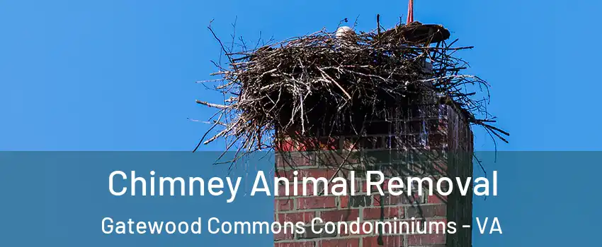 Chimney Animal Removal Gatewood Commons Condominiums - VA
