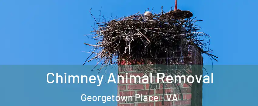 Chimney Animal Removal Georgetown Place - VA