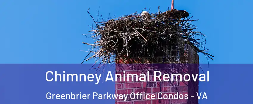 Chimney Animal Removal Greenbrier Parkway Office Condos - VA
