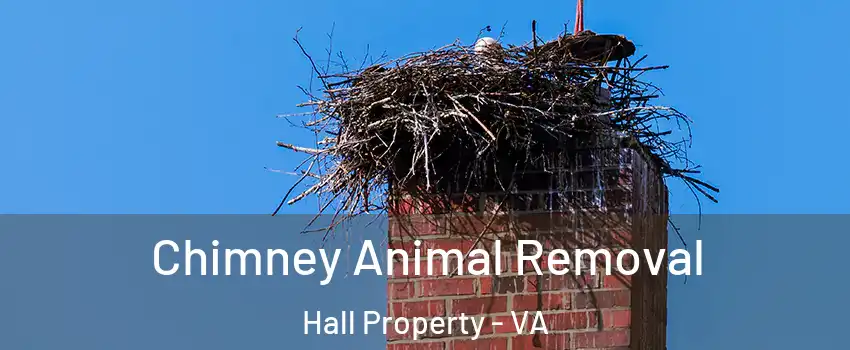 Chimney Animal Removal Hall Property - VA