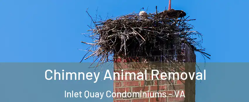 Chimney Animal Removal Inlet Quay Condominiums - VA