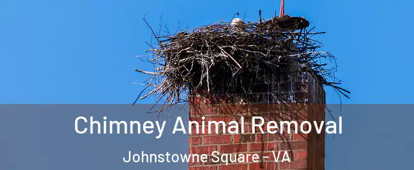 Chimney Animal Removal Johnstowne Square - VA
