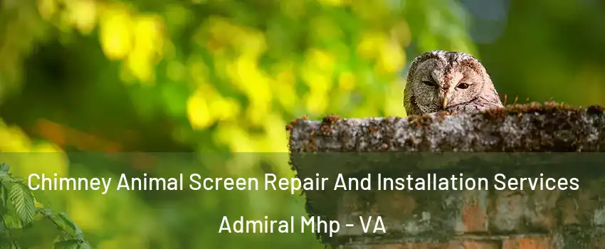 Chimney Animal Screen Repair And Installation Services Admiral Mhp - VA