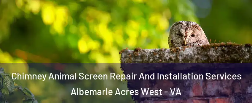 Chimney Animal Screen Repair And Installation Services Albemarle Acres West - VA
