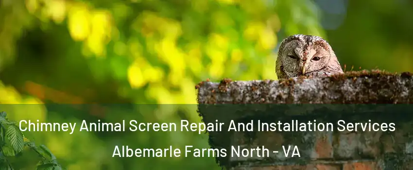 Chimney Animal Screen Repair And Installation Services Albemarle Farms North - VA
