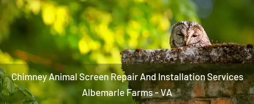 Chimney Animal Screen Repair And Installation Services Albemarle Farms - VA
