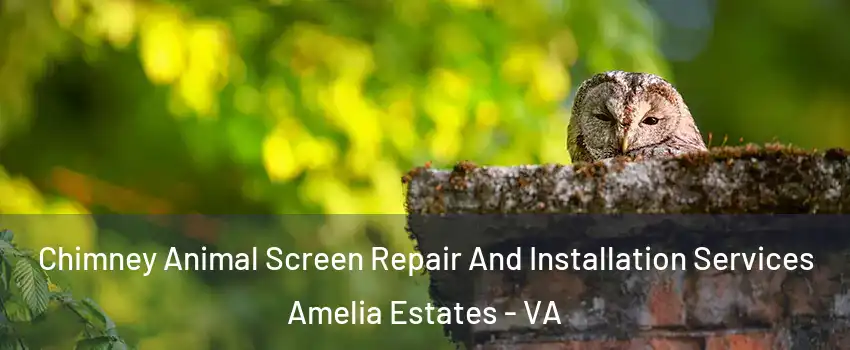 Chimney Animal Screen Repair And Installation Services Amelia Estates - VA