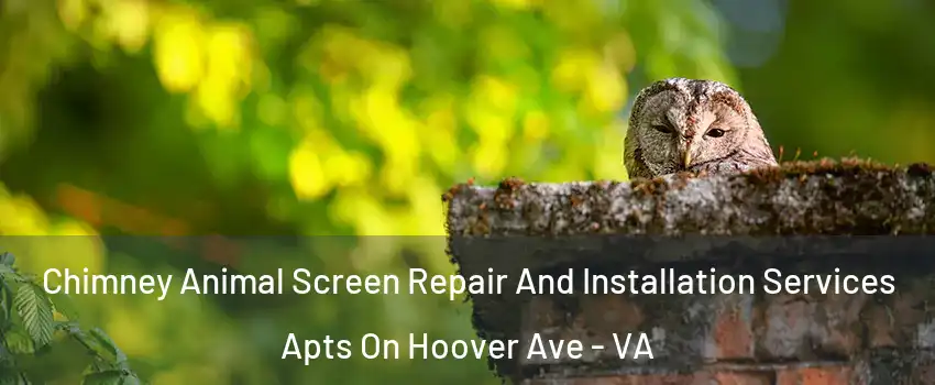 Chimney Animal Screen Repair And Installation Services Apts On Hoover Ave - VA