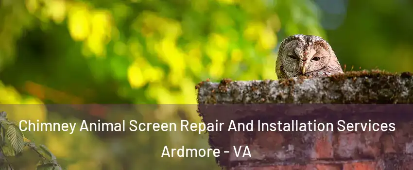 Chimney Animal Screen Repair And Installation Services Ardmore - VA