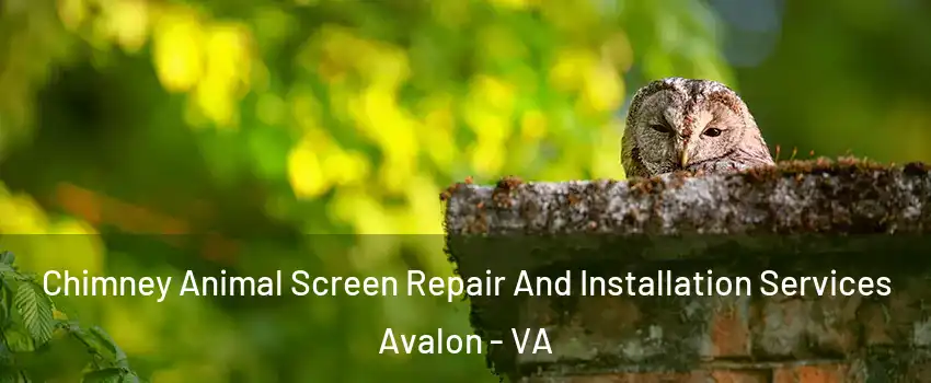 Chimney Animal Screen Repair And Installation Services Avalon - VA