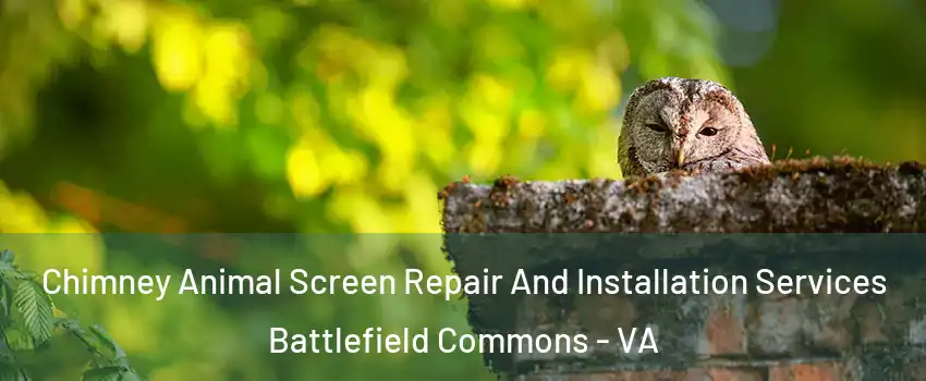 Chimney Animal Screen Repair And Installation Services Battlefield Commons - VA