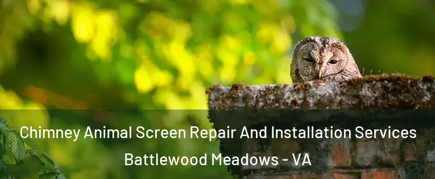 Chimney Animal Screen Repair And Installation Services Battlewood Meadows - VA