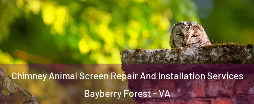 Chimney Animal Screen Repair And Installation Services Bayberry Forest - VA