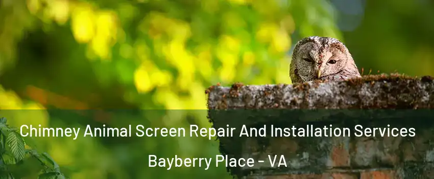 Chimney Animal Screen Repair And Installation Services Bayberry Place - VA