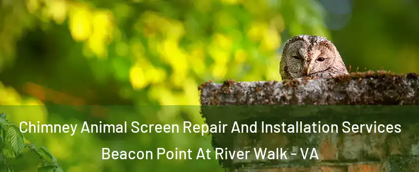 Chimney Animal Screen Repair And Installation Services Beacon Point At River Walk - VA