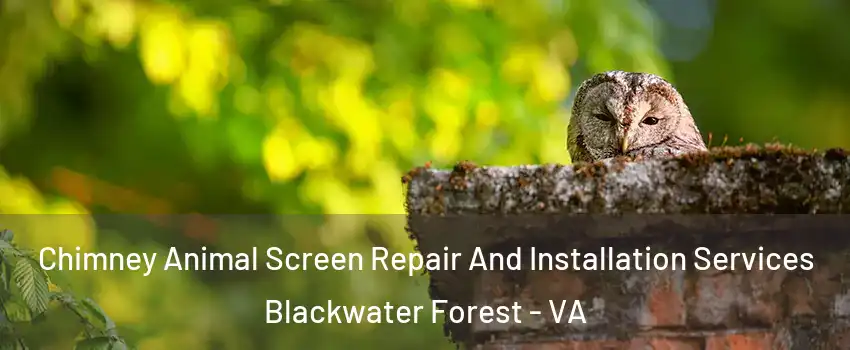 Chimney Animal Screen Repair And Installation Services Blackwater Forest - VA