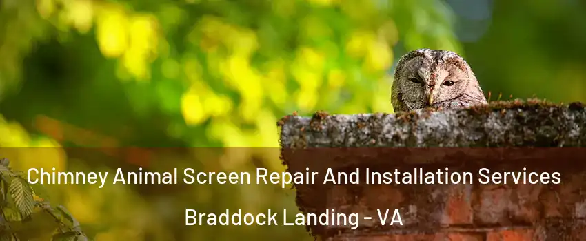 Chimney Animal Screen Repair And Installation Services Braddock Landing - VA