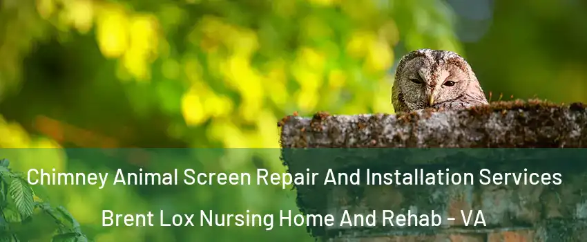 Chimney Animal Screen Repair And Installation Services Brent Lox Nursing Home And Rehab - VA