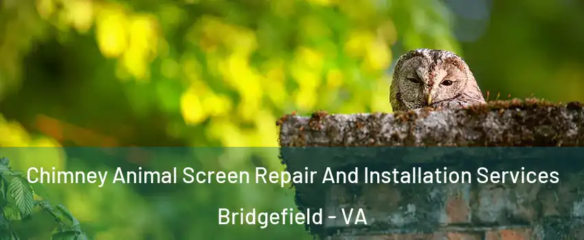 Chimney Animal Screen Repair And Installation Services Bridgefield - VA