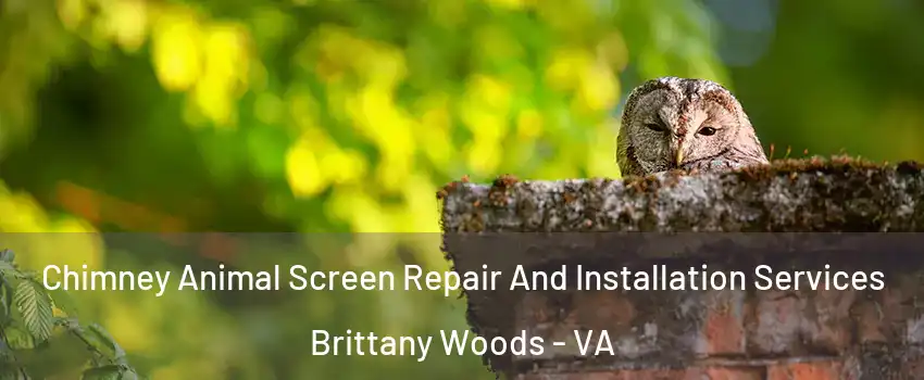 Chimney Animal Screen Repair And Installation Services Brittany Woods - VA