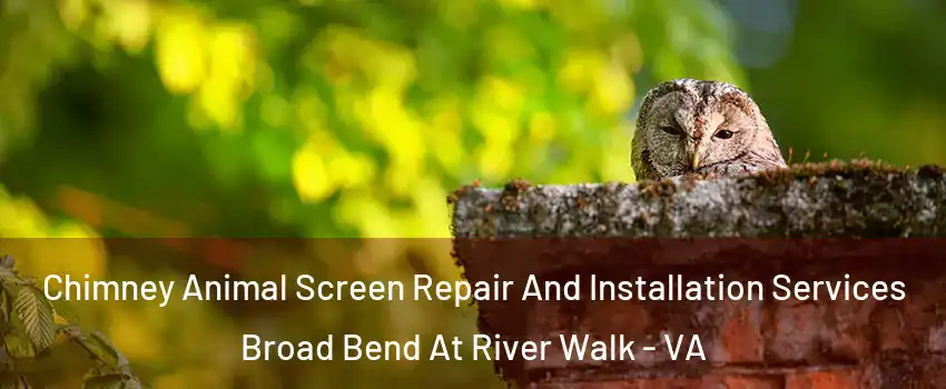 Chimney Animal Screen Repair And Installation Services Broad Bend At River Walk - VA