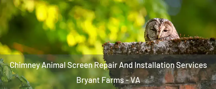 Chimney Animal Screen Repair And Installation Services Bryant Farms - VA