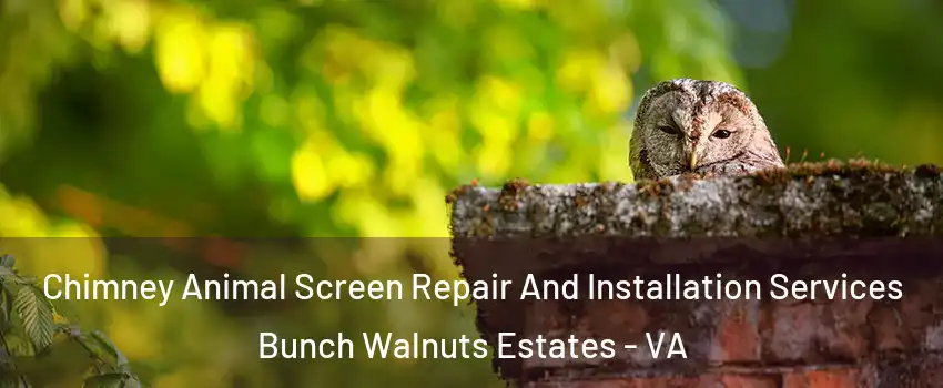 Chimney Animal Screen Repair And Installation Services Bunch Walnuts Estates - VA
