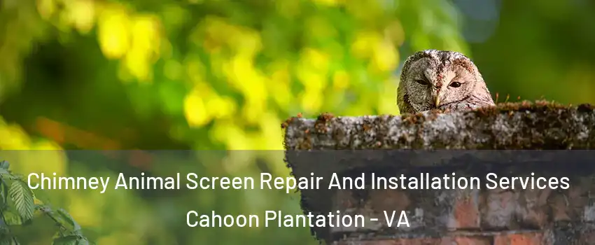 Chimney Animal Screen Repair And Installation Services Cahoon Plantation - VA