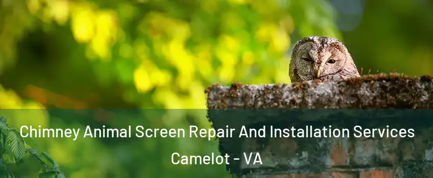 Chimney Animal Screen Repair And Installation Services Camelot - VA