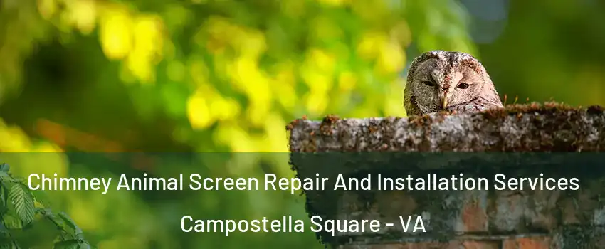 Chimney Animal Screen Repair And Installation Services Campostella Square - VA