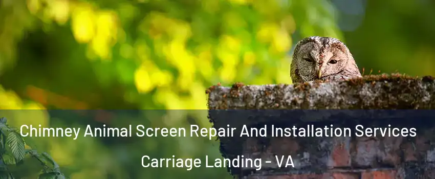 Chimney Animal Screen Repair And Installation Services Carriage Landing - VA