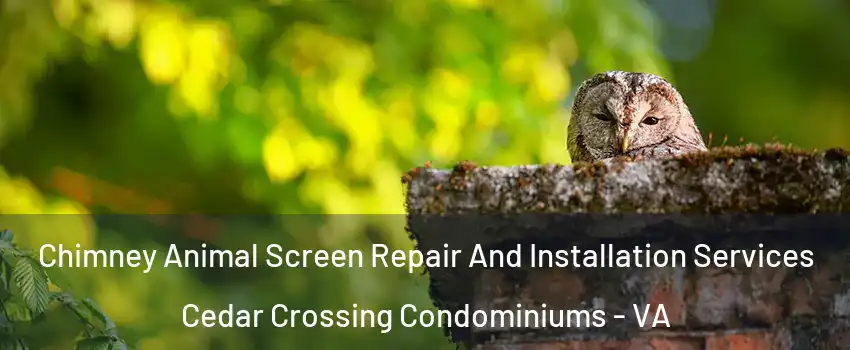 Chimney Animal Screen Repair And Installation Services Cedar Crossing Condominiums - VA