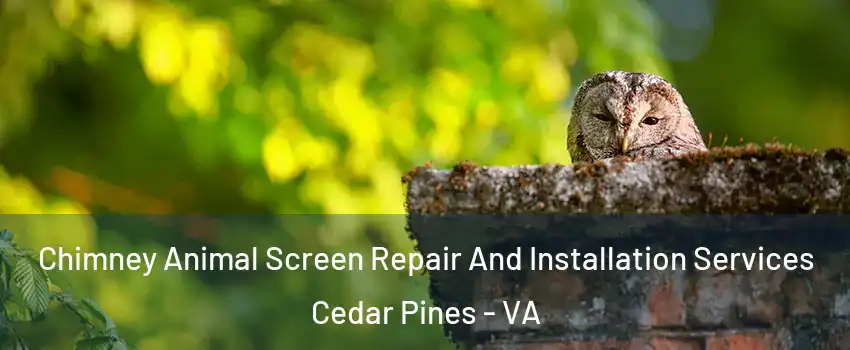 Chimney Animal Screen Repair And Installation Services Cedar Pines - VA