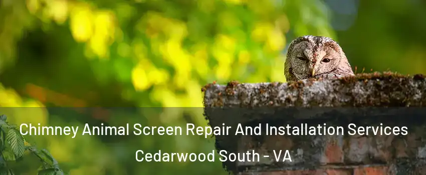 Chimney Animal Screen Repair And Installation Services Cedarwood South - VA