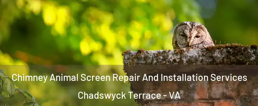 Chimney Animal Screen Repair And Installation Services Chadswyck Terrace - VA