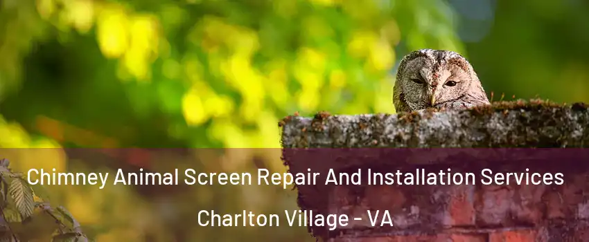 Chimney Animal Screen Repair And Installation Services Charlton Village - VA