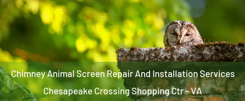 Chimney Animal Screen Repair And Installation Services Chesapeake Crossing Shopping Ctr - VA