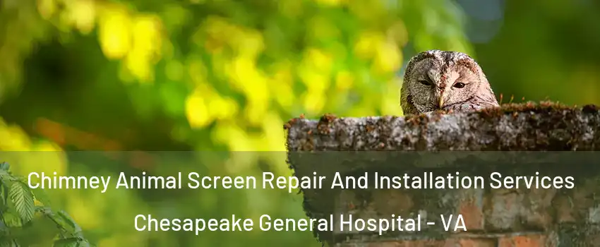Chimney Animal Screen Repair And Installation Services Chesapeake General Hospital - VA